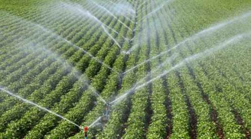 Tam 4,5 milyarlık destek! Eskişehir de var...