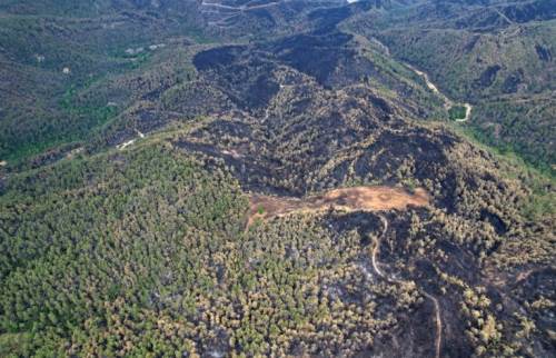Taraklı’daki orman yangını sonrası havadan acı manzara