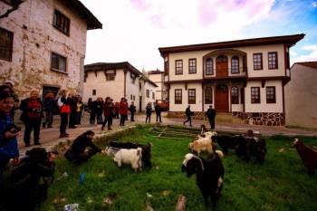 Tarih Boyunca 18 Medeniyetin Yerleşim Yeri Osmaneli
