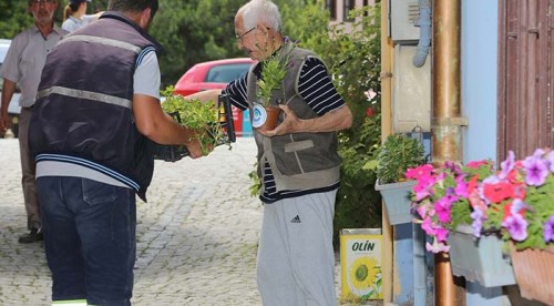 Tarihi Odunpazarı çiçek açtı