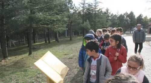 Tarihi yerinde öğrendiler