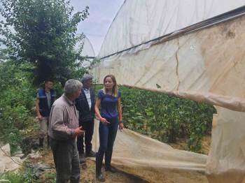 Tarım Alanlarında Hasar Tespit Çalışmaları Gerçekleştirildi
