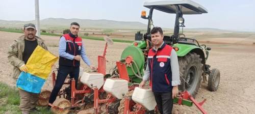 Tarımda sürdürülebilirlik için yerli tohuma yakın takip