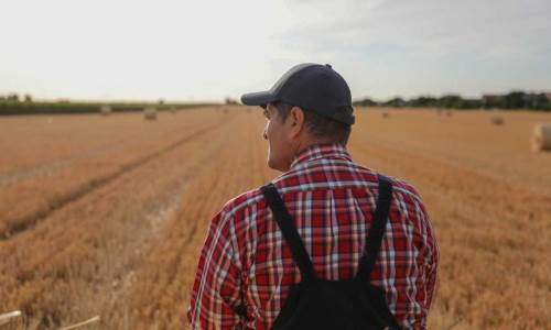 Tarımsal sulama sezonu kapandı: Çiftçilere ödeme ve kapanış uyarısı