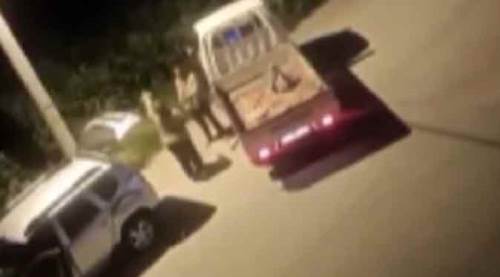 Tarla sahibine yakalanan hırsızdan ilginç savunma