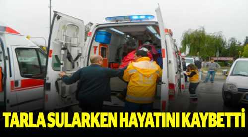 Tarla sularken hayatını kaybetti