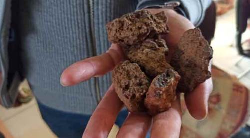 Tarlasında buldu, 50 bin dolardan satışa çıkardı!