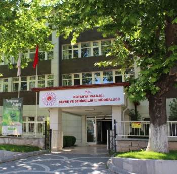 Tartışmalı Çınar Ağacının Yaşı Yeniden Tespit Edilecek
