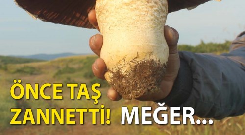 Taş zannetti! Meğer...