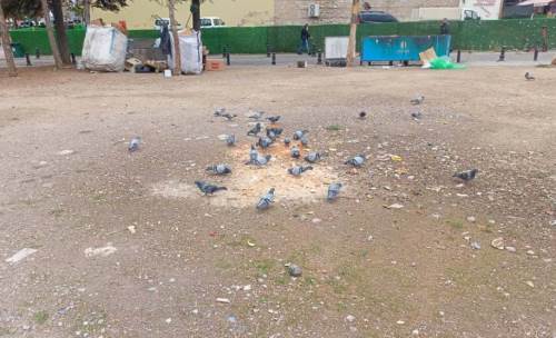 Taşbaşı’nda minik dostlara sıcacık ilgi