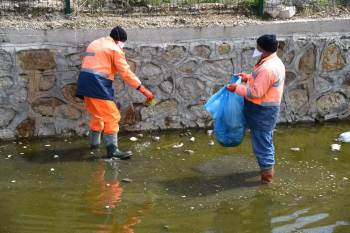 Taşkın Koruma Kanalları Temizleniyor

