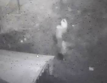 Tavşanlı’Da 2 Hırsızlık Şüphelisi, Polis Ekiplerince Yakalandı
