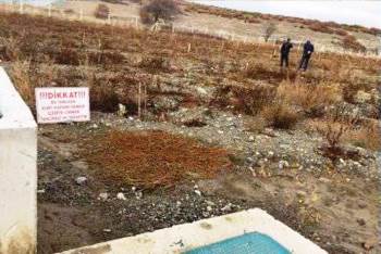 Tavşanlı’Da 9 Dekarlık Ceviz Bahçesi Destekleme Kapsamına Alındı
