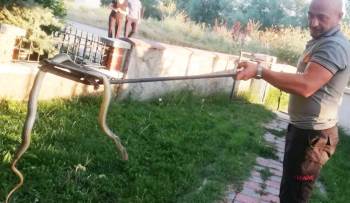 Tavşanlı’Da Araç Motoruna Giren Yılan, İtfaiye Erleri Tarafından Çıkartıldı
