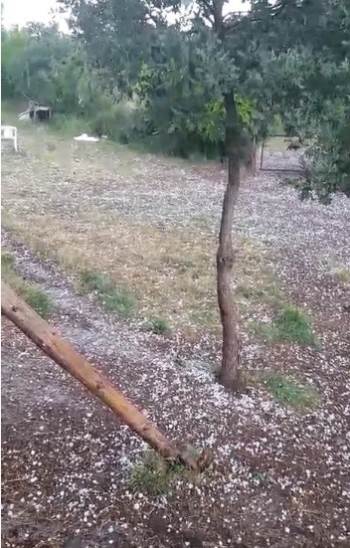 Tavşanlı’Da Ceviz Büyüklüğünde Dolu Yağdı
