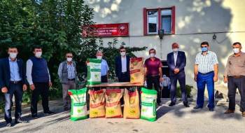 Tavşanlı’Da Çiftçilere Macar Fiği, Korunga Ve Yem Bezelyesi Tohumu Dağıtıldı
