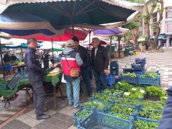 Tavşanlı’Da Fide Satışı Yapan Kişiler Denetlendi
