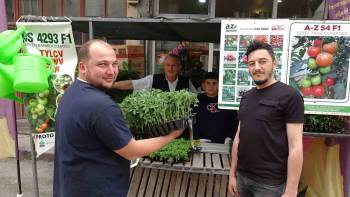 Tavşanlı’Da Fide Satışları Arttı
