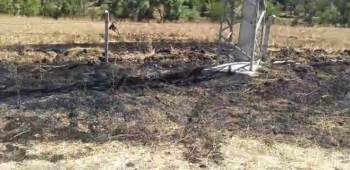 Tavşanlı’Da Kuşun Sebep Olduğu Yangın Söndürüldü
