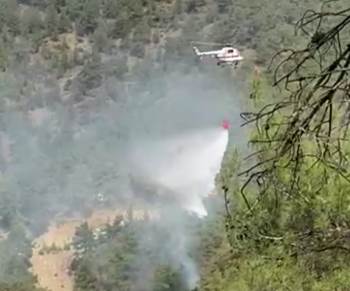 Tavşanlı’Da Orman Yangını
