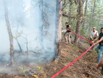 Tavşanlı’Da Orman Yangını
