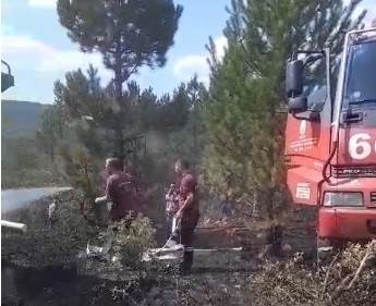 Tavşanlı’Da Orman Yangını
