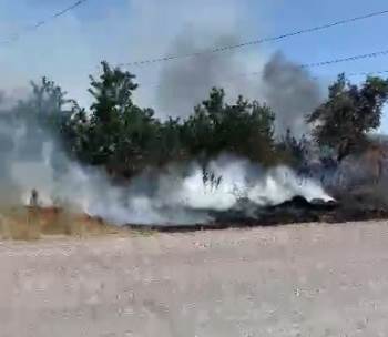 Tavşanlı’Da Ot Yangını Korkuttu
