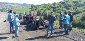 Tavşanlı’Da Yıldırım Düşmesi Sonucu 21 Küçükbaş Hayvan Telef Oldu
