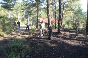 Tavşanlı’Daki Orman Yangını Kısa Sürede Söndürüldü
