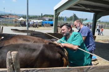 Tavşanlı Kurban Pazarında Denetim
