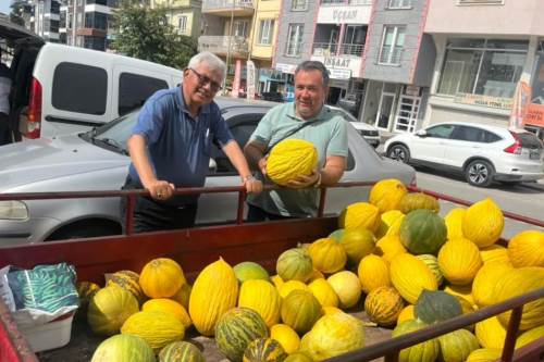 Tavşanlı'nın ata tohumlu lezzeti hasada başladı!