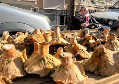 Tavşanlı semt pazarında mantar sezonu canlandı