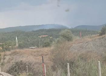 Tavşanlı Tunçbilek’Te Yıldırım Düşmesi Sonucu Orman Yangını
