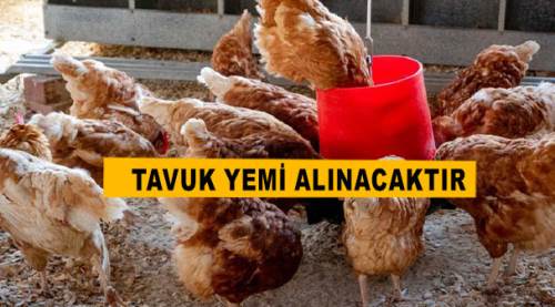 Tavuk yemi alınacaktır