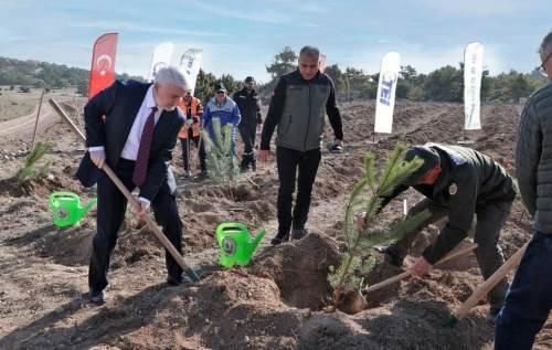 TEI, 40. yılında doğaya 17 bin fidanla destek verdi