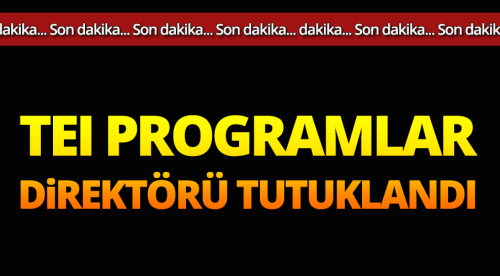 TEİ Programlar Direktörü tutuklandı