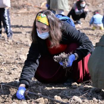 Teke Yöresi Lavanta Kokacak
