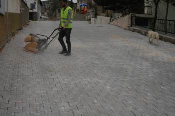 Temizlik İşleri Müdürlüğü Faaliyetleri
