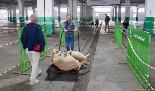 Tepebaşı Belediyesi bayramda tam not aldı