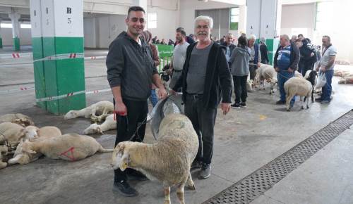 Tepebaşı Belediyesi'nden kurban kesenlere büyük kolaylık!