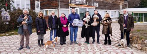 Tepebaşı Belediyesi sahipsiz hayvanlara yuva oluyor