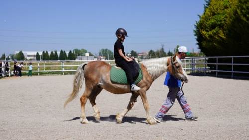 Tepebaşı'nda çocuklar atlarla buluşuyor