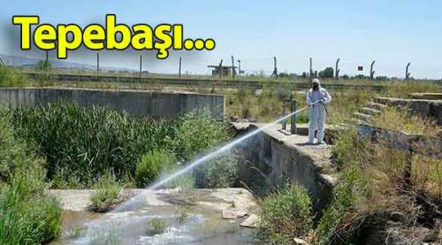 Tepebaşı’nda haşere ile mücadele