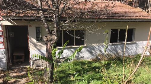 Termal bölgesi hamamsız kaldı 