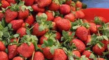 Tezgahta onu gören şaşırıyor