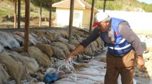 THK’dan deri için çağrı    