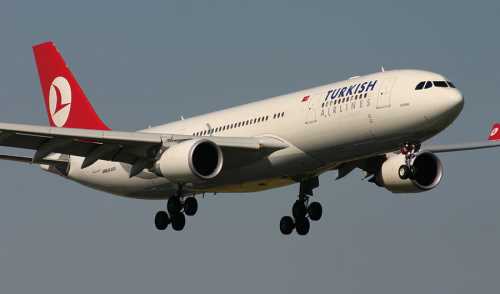 THY UÇAĞINDA KUŞ PANİĞİ