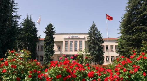 Tıbbi sarf malzemesi satın alınacak