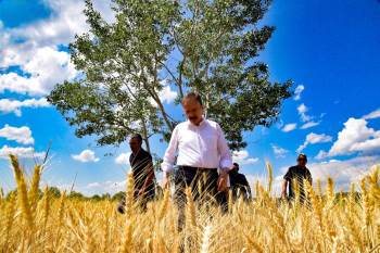 Tmo Alımları Bilecik’Te Rekor Kırdı
