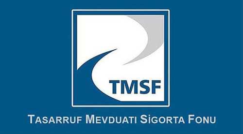 TMSF iki şirketi satışa çıkardı